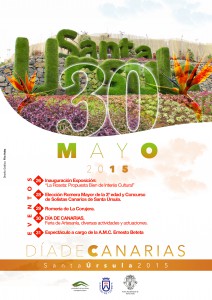 Cartel Dia de Canarias