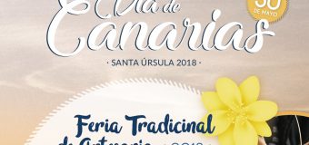 Feria de Artesanía en Santa Úrsula por el Día de Canarias 2018
